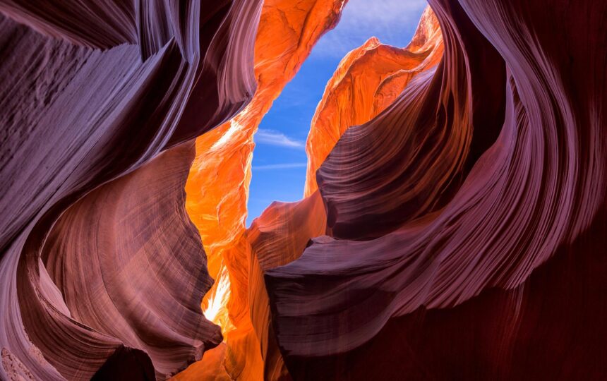 精彩回顾 | 2025科睿唯安学科发展论坛成功举办！