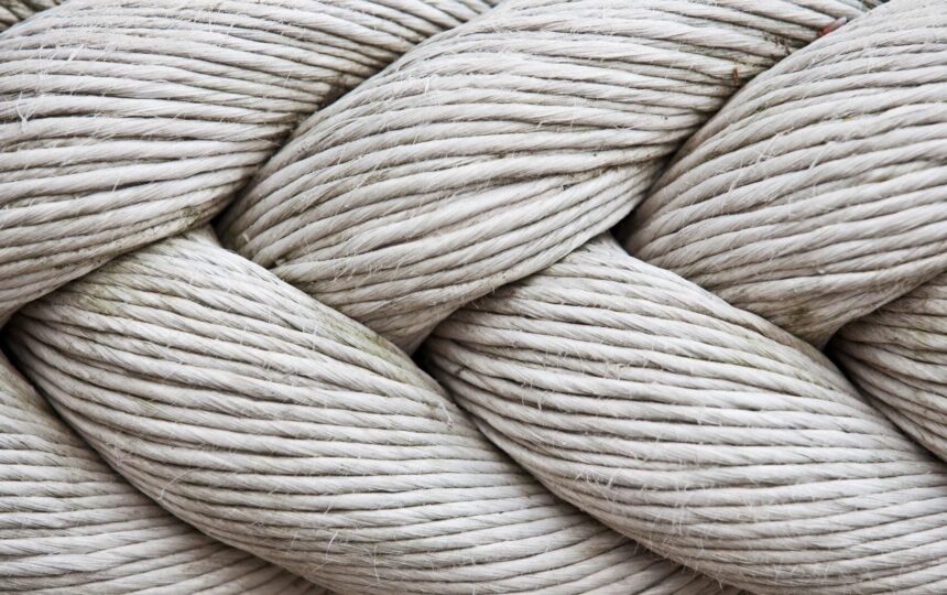 七家ADC公司正在开发有望治疗难治性癌症的疗法