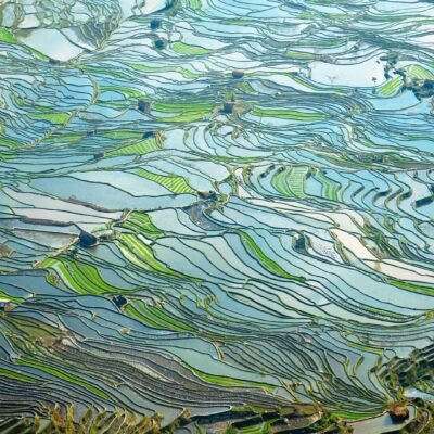 司美格鲁肽生物类似药系列产品对中国大陆意味着什么