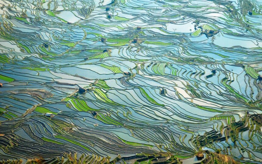 司美格鲁肽生物类似药系列产品对中国大陆意味着什么