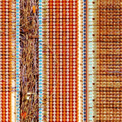 AI驱动数据整理：原发性震颤流行病学迎来新方法