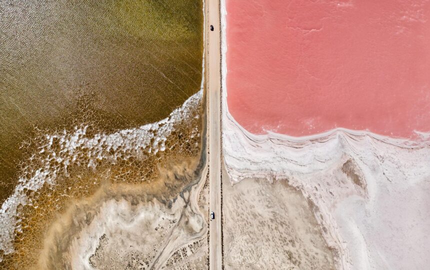 六家公司为“不可成药”靶点实现精准干预