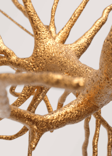 2026 年最值得关注的药物预测