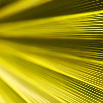 使用流行病学数据预测目标市场：科睿唯安的方法论