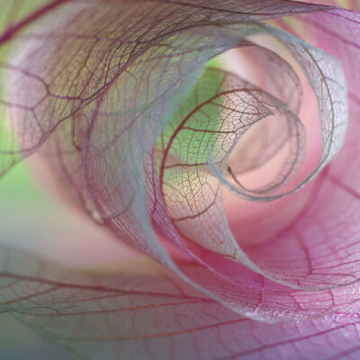 七家引领女性健康创新发展的公司