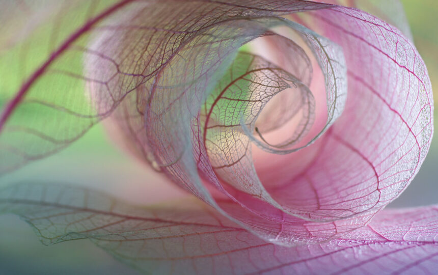 七家引领女性健康创新发展的公司