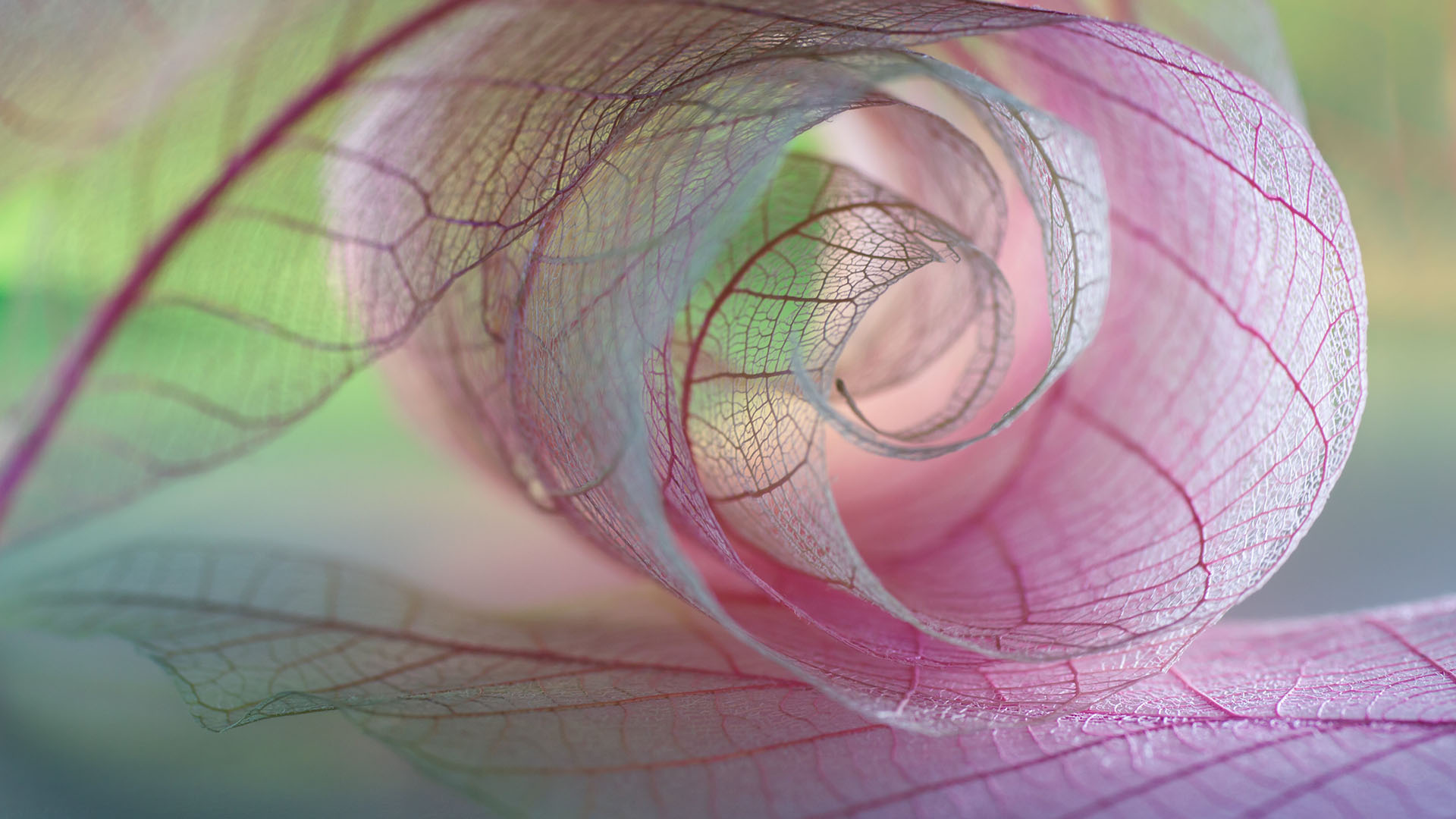 七家引领女性健康创新发展的公司