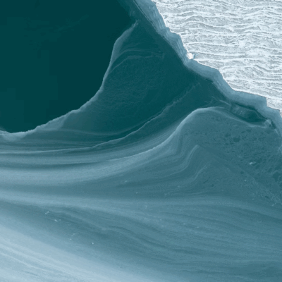 应对完整回复函：科睿唯安解决方案如何帮助制药公司规划其获批路径