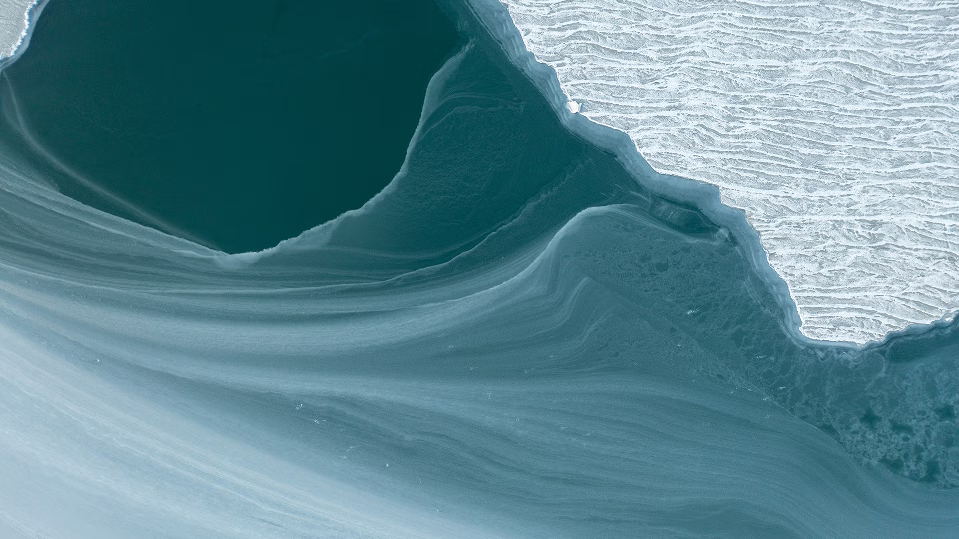 应对完整回复函：科睿唯安解决方案如何帮助制药公司规划其获批路径