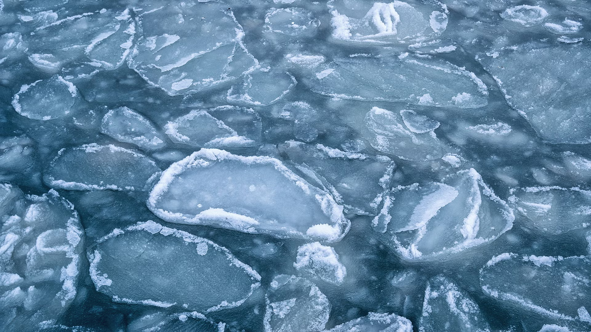 Relacorilant：当证据满足既定证据标准时