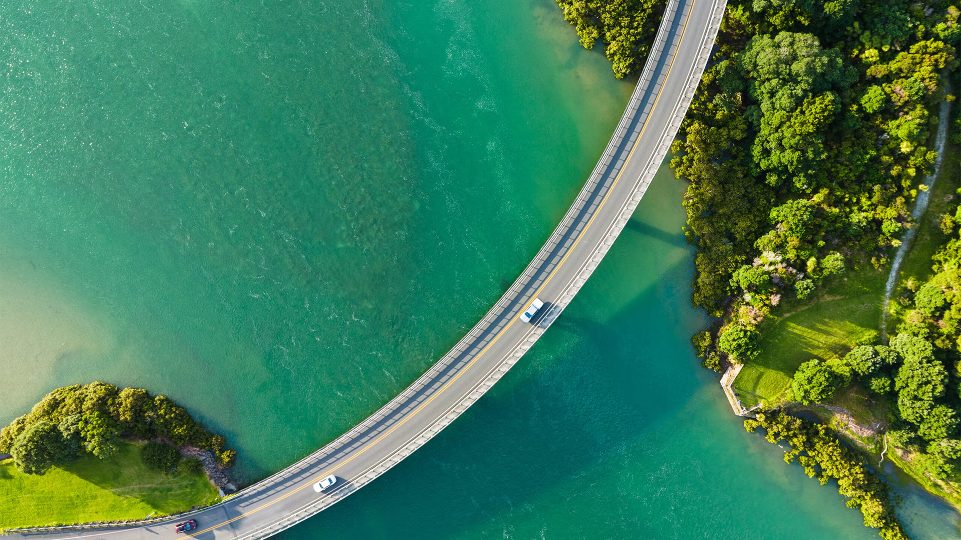 为何长寿研究可能成为生物制药的下一个风口：当科学与商业的交汇