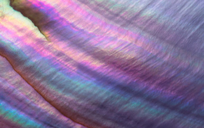 科睿唯安推出 DRG Commercial Analytics 360 赋能医疗科技企业提升商业战略与执行