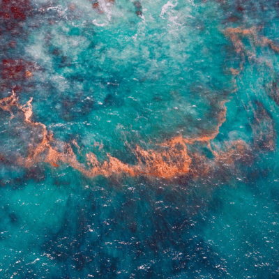 科睿唯安重磅报告揭示中国正在成为全球医药创新引领者