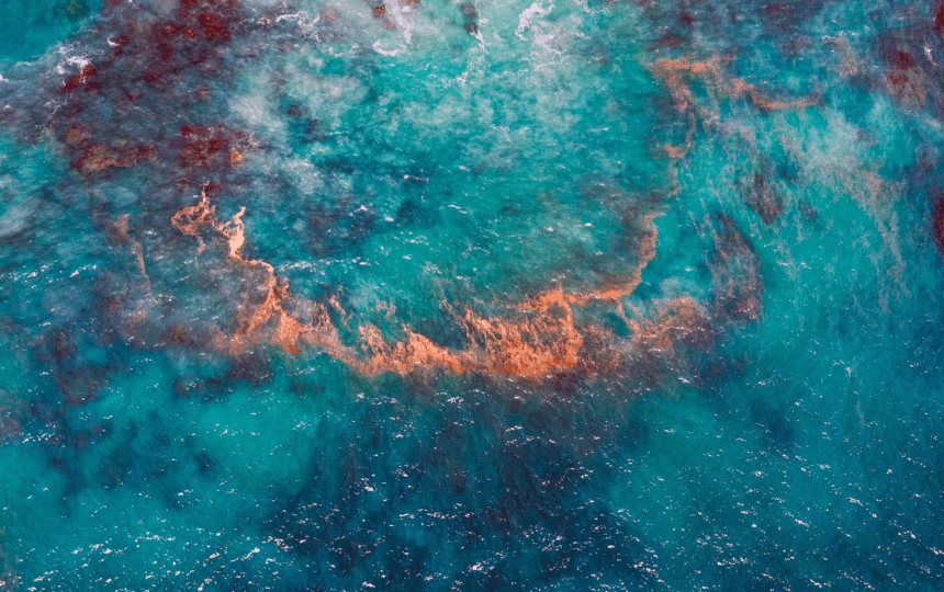 科睿唯安重磅报告揭示中国正在成为全球医药创新引领者