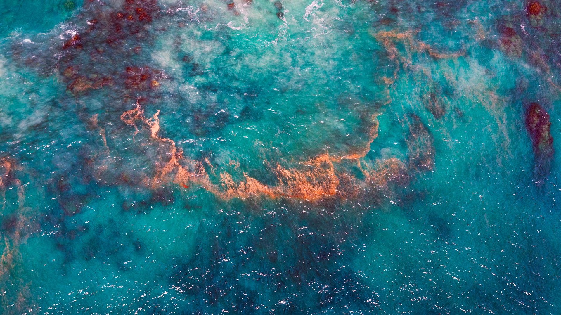 科睿唯安重磅报告揭示中国正在成为全球医药创新引领者