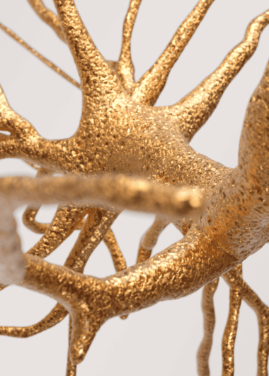 2026 年最值得关注的药物预测