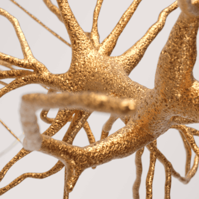 科睿唯安发布 2026 年度《最值得关注的药物预测》报告，聚焦 11 种潜在重磅炸弹和变革性药物