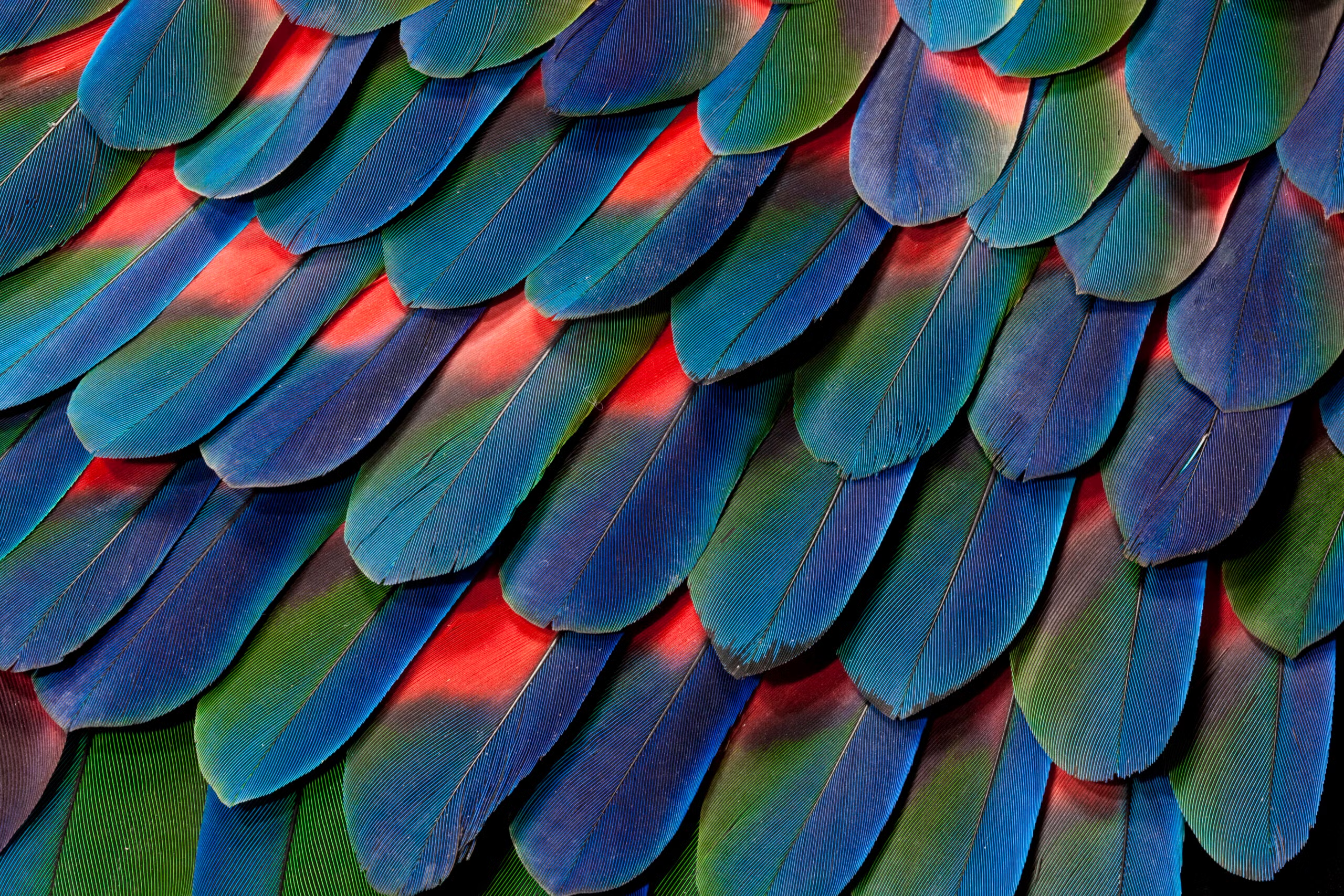 科睿唯安推出AI驱动的数字馆藏管理平台Alma Specto 助力图书馆释放馆藏价值