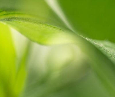科睿唯安与 KYBORA 携手助力生物医药企业实现战略交易