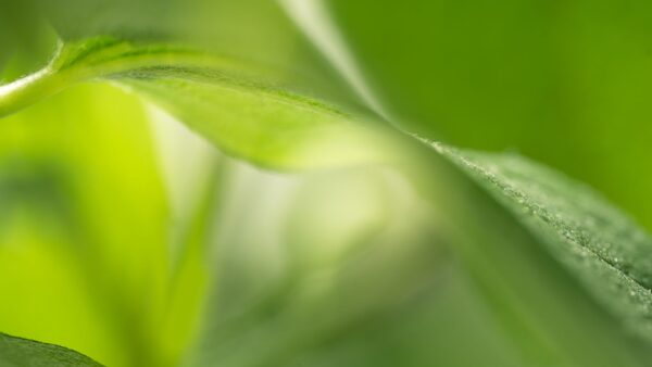 科睿唯安与 KYBORA 携手助力生物医药企业实现战略交易