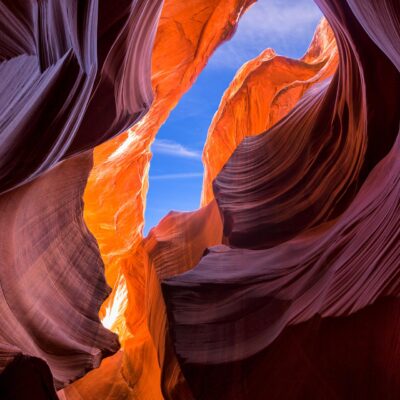 精彩回顾 | 2025科睿唯安学科发展论坛成功举办！