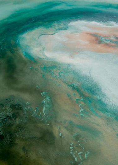 科睿唯安_新药研发解决方案_医药数据产品公司