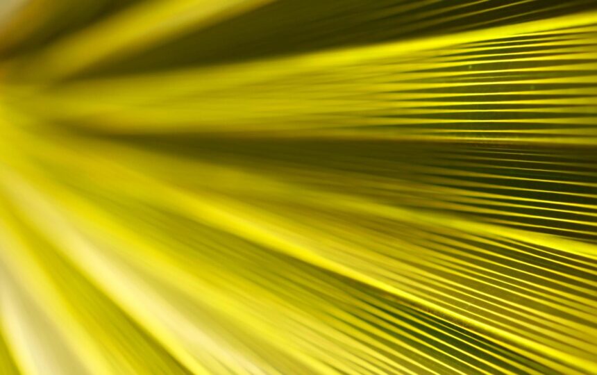 使用流行病学数据预测目标市场：科睿唯安的方法论